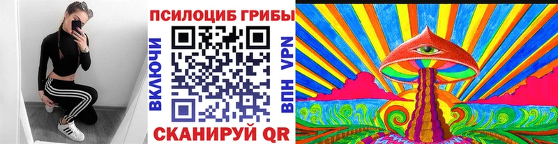хочу   Зеленодольск  Псилоцибиновые грибы Cubensis 