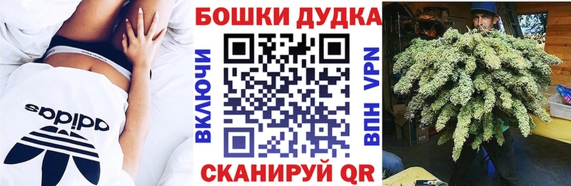 Бошки Шишки THC 21%  блэк спрут tor  Зеленодольск  что такое  